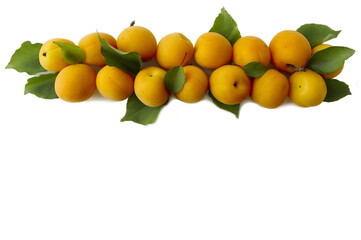 Ripe apricots at border of image with copy space for text. Fruit on white background. Top view