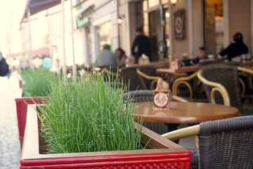 Street Cafe, Grass Decor Concept.
