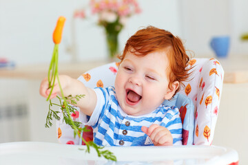 happy infant baby eating fresh carrot while sitting in high chair on the kitchen © Olesia Bilkei