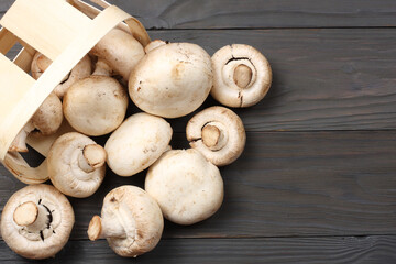 mushrooms on dark wooden background. top view with copy space