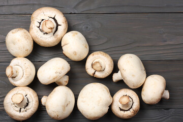 mushrooms on dark wooden background. top view with copy space