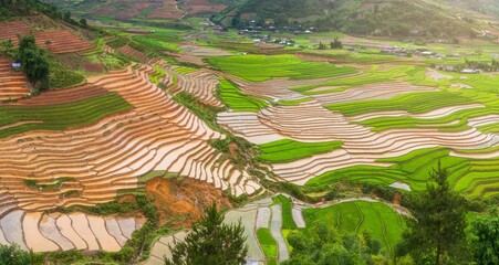 Terraced ricefield in water season at Mu Cang Chai , Vietnam