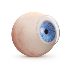 Eyeball with contact lens