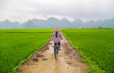 Local woman on her bicycle along a rice field in Bac Son, Vietnam