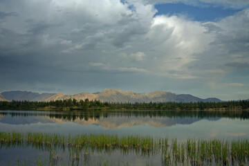 Calm mountain lake and grass near the shore. Yakutia, Omulewska the Midlands.