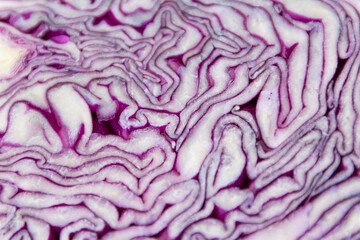 Obraz premium Kohl Rotkohl gesunde Ernährung 