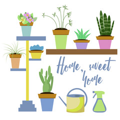 Vector drawn set of home plants. succulent, violets. Home sweet home.