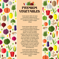 Poster with colorful vegetables. Template for packaging, cards, posters, menu. Vector stock illustration.