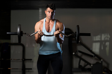 Muscular Man Exercising Biceps With Barbell