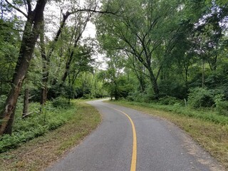 Fototapeta na wymiar curvy bike trail in the woods