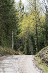 Gravel road curve at spring season