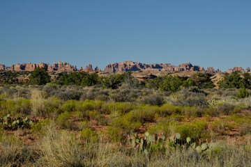 Needles sandstone spires 
Needles District of Canyonlands National Park, Utah, United States