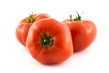 tomato group isolated photo.