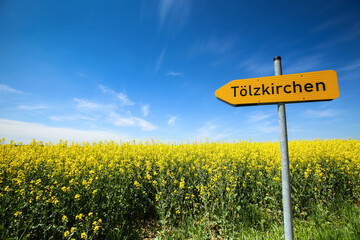A road sign with name of village Tolzkirchen next to the yellow flowering rapeseed fields in spring...