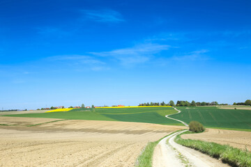 A small country road through cultivated fields of Bavaria, Germany.
