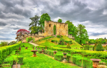 Fototapeta na wymiar Ruins of the ancient keep at the Chateau de Langeais, France