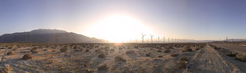 Palm Springs Desert Wind Farm Panorama