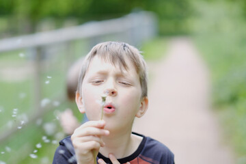 Portrait of a child with a dandelion on a walk