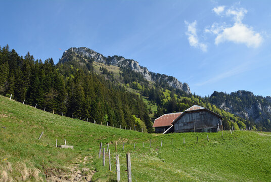 Alp Scharteggli, Gersau