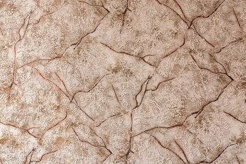 Abstract beige plaster texture backgrond