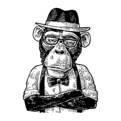 Monkey hipster with arms crossedin in hat, shirt, glasses and bow tie
