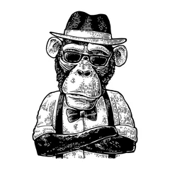 Wall murals Teenage room Monkey hipster with arms crossedin in hat, shirt, glasses and bow tie