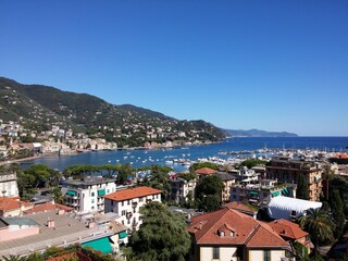 Fototapeta premium rapakki