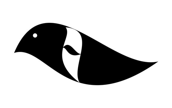Black Bird, Silhouette