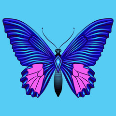 Bright beautiful butterfly. Vector illustration isolated.