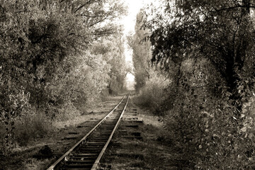 Fototapeta premium Retro toned rural railroad tracks