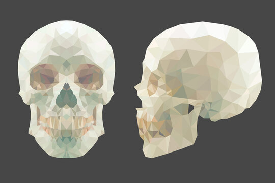 Vector white low-poly skull on white background