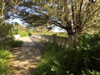 Magical bridge to nowhere