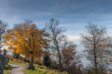 Amazing autumn landscape near Mount Rigi, Alps, Switzerland 