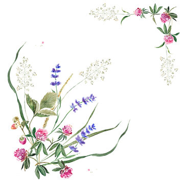 Delicate summer border with flowers and leaves of clover, lavender, strawberry and herbs. Hand drawn watercolor painting.