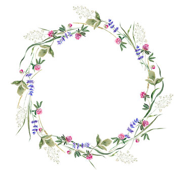 Delicate summer wreath with flowers and leaves of clover, lavender, strawberry and herbs. Hand drawn watercolor painting.
