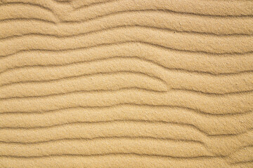 Fototapeta na wymiar Lines in the sand of a beach, close up