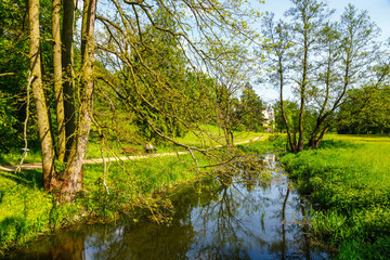 Fototapeta na wymiar Stream flowing through the spring dendrological garden