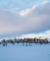 Winter in East Norway