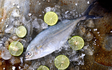 Frozen fresh trevally fish.
