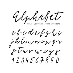 Naklejka premium Hand drawn vector alphabet. Signature script font. Isolated letters written with marker, ink. Calligraphy, lettering.