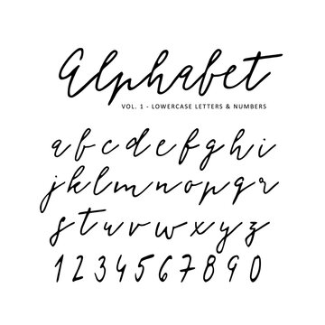Hand drawn vector alphabet. Signature script font. Isolated letters written with marker, ink. Calligraphy, lettering.