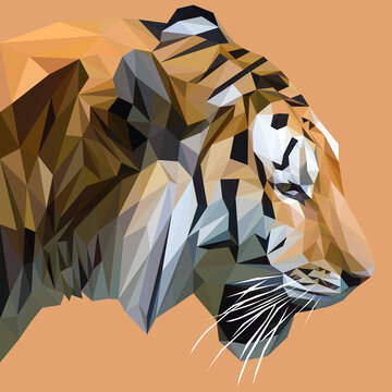 Tiger low poly design. Triangle vector illustration.