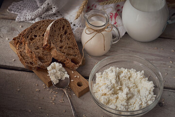 Fresh dairy products. Milk, cottage cheese, sour cream, multigrain homemade bread and wheat on rustic wooden background.