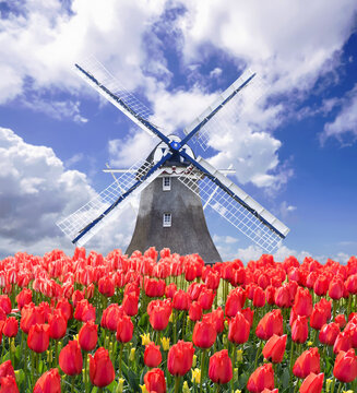 Holländerwindmühle
