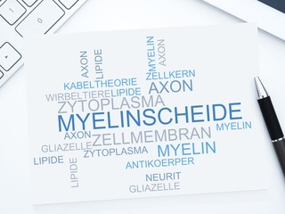 Myelinscheide