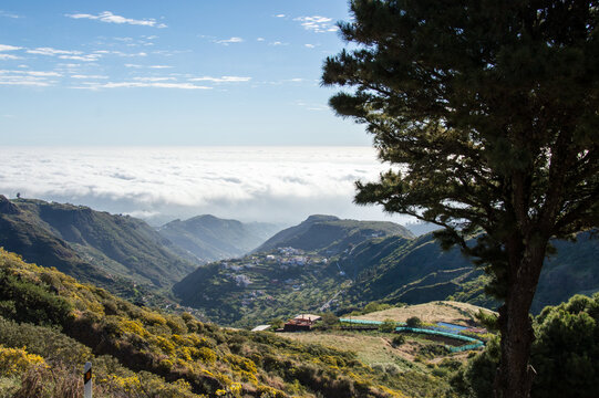 Hiking in idyllic nature of Gran Canaria, Spain
