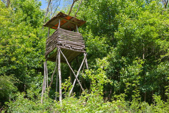 High wooden hunter stand among trees in a forest
