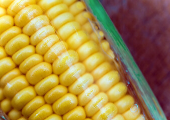 Corn cob in plastic wrap package