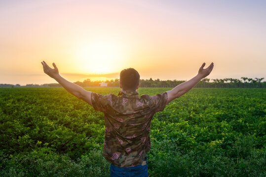 Farmer Man Standing With Arms Raised On The Green Field Before The Harvest. People Freedom On Nature Concept.