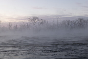 Fog morning © Richard